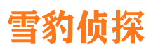 凤台侦探公司